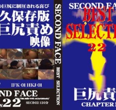 日本综合_SECB-22